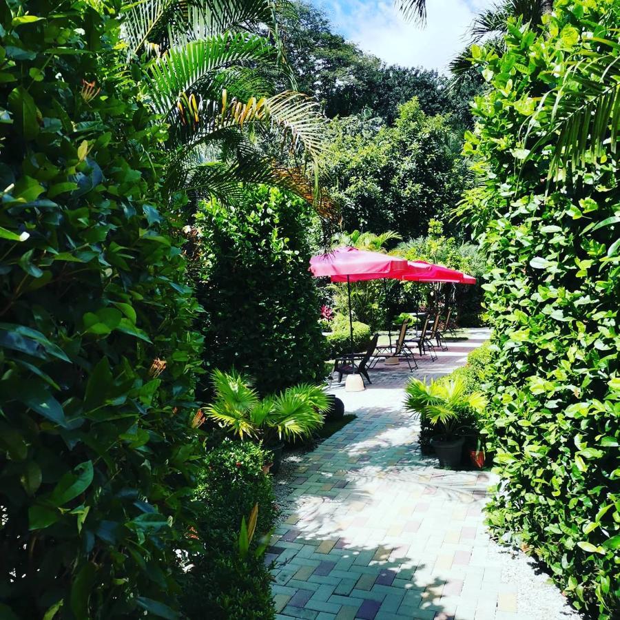 Hotel Belvedere Playa Samara Costa Rica Экстерьер фото