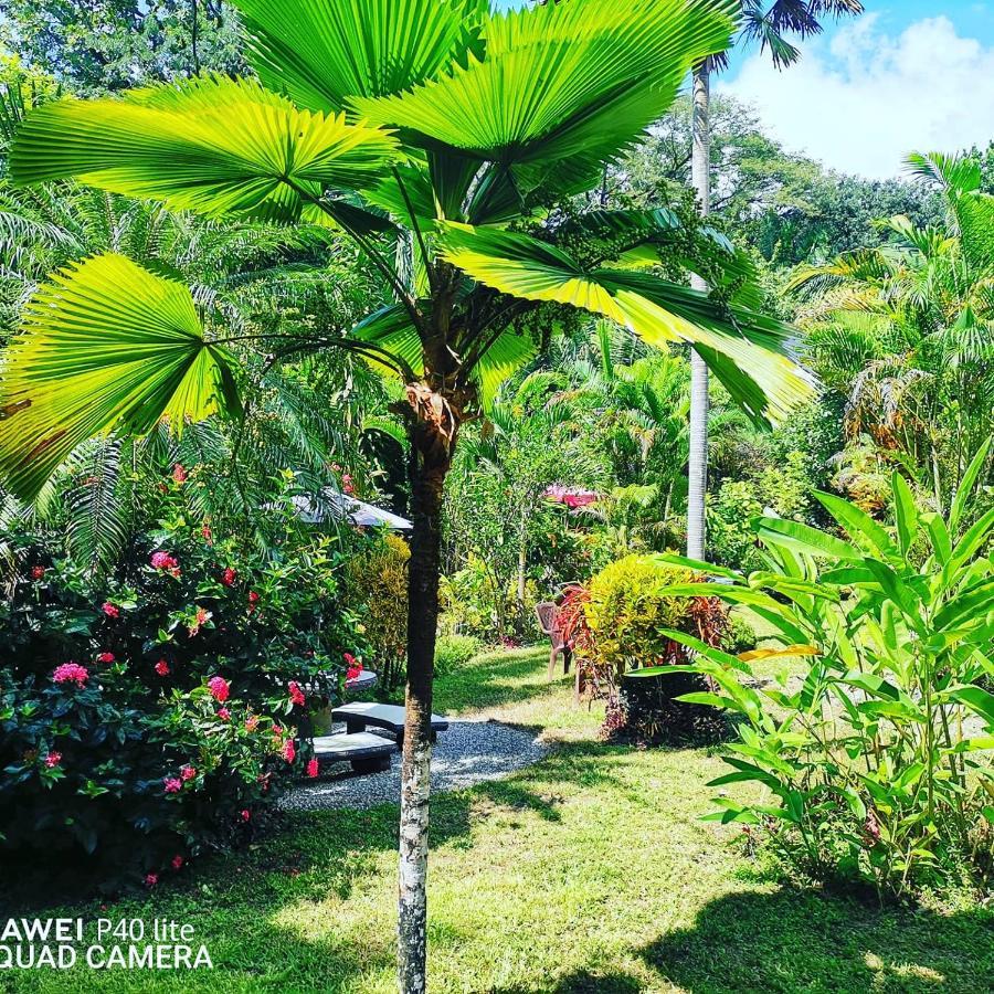 Hotel Belvedere Playa Samara Costa Rica Экстерьер фото