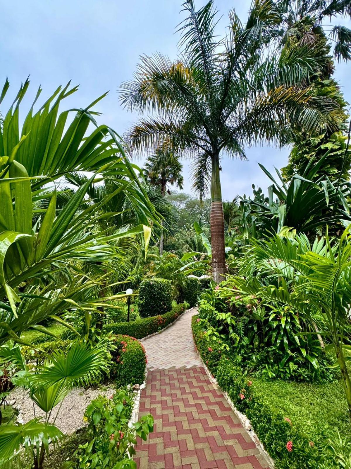 Hotel Belvedere Playa Samara Costa Rica Экстерьер фото